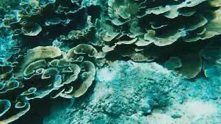 Пхукет Рача отпуск