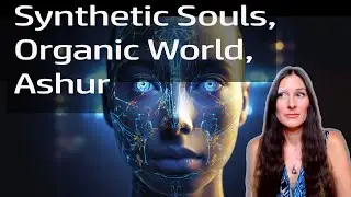 When did the synthetic souls enter? And: How to live in an organic world