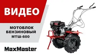 Мотоблок бензиновый ЗУБР МТШ-600