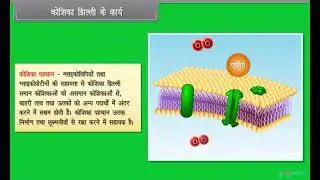Hindi Medium | Class 11 | Biology | Cell The Unit of Life III | CBSE | ICSE | Free Tutorial