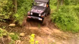 wildkat getting dirty