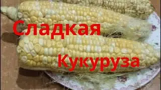 Сладкая сочная кукуруза Сорта сахарной кукурузы выращивание Кукуруза Мраморная Кукуруза белый кролик