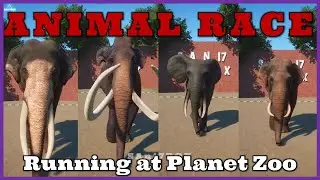Planet Zoo Big Animal Race | Sri Lankan elephant, African Forest Elephant, Mammoth, Indian elephant