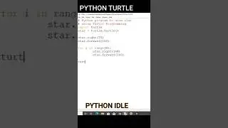 python turtle print line star