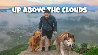 We hiked above the clouds 🌧️❤️ | The Himalayan Husky
