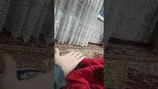 А как звучит бид бокс со словом Ирина #shorts #юмор #рекомендации #trek