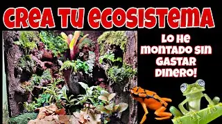 RECICLO TERRARIO VIEJO y el resultado es IMPRESIONANTE sin gastarme NI UN CÉNTIMO! 💲🪴🌿