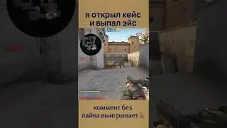 открыл кейс и выпал эйс