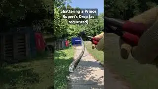 Shattering a Prince Rupert’s Drop 