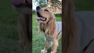 Костюмчик, что надо ))