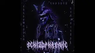 SCHIZOPHRENIC 3 - LEV1T1CUS (feat. ShadowStorm, Codelin)