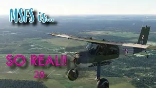 MSFS is... SO REAL!! 28