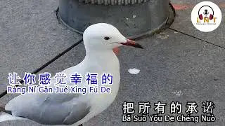 姑娘别哭了 Gu Niang Bie Ku Le 崔伟立 Cui Wei Li (  karaoke )