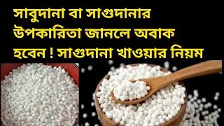 সাবুদানার উপকারিতা/সাগুর উপকারিতা/সাগুদানা কি/সাগুদানা খাওয়ার নিয়ম