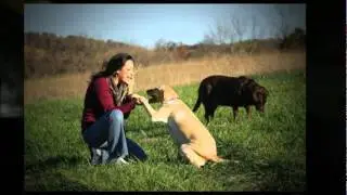 Loretta and Her Loveable Labs