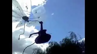 Contabass Windmill