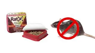 RatX Ready Trays