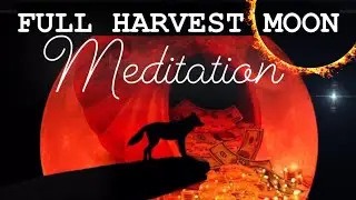 Full Moon September 20th 2021! Full moon Frequency Music! 528hz Harvest Moon!