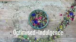 Optimised Indulgence, the finest Tortoise food!