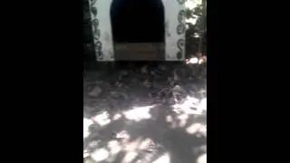 Абхазия !!!и зверюшки!!!