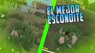 LOS ARBUSTOS SON EL MEJOR 
