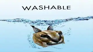 Washable Floppa