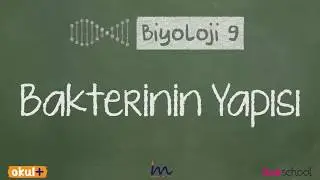 Bakterinin Yapısı