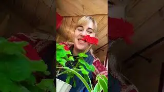 На меня подписываются,ждут вышивальный контент…тем временем я🗿🗿🗿