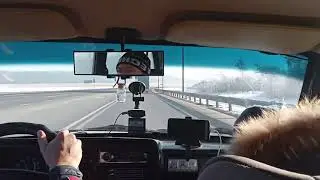 Покупка сразу трёх йорков
