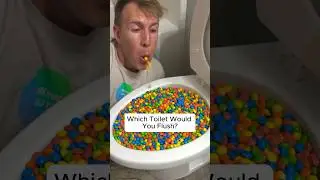 Experiment Flushing JUNK FOOD SNACKS in the Toilet 