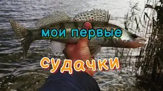 Впервые ловлю судака, хотя планировал рыбалку на карася 😜