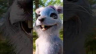 We don't always get what we want 🙄🐿 