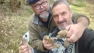 Morel Mushroom Colmenillas,Murgulas,Cagarrias 2024 - (1)