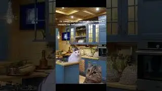 когда хотим сказать но забываем что хотели сказать