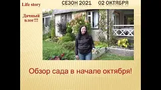 Обзор сада в начале октября!