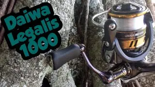 Unboxing, Testing, and Reviewing the Daiwa Legalis LT 1000D Ultralight Spinning Reel
