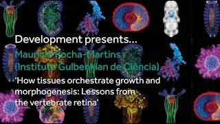 Development presents... Mauricio Rocha Martins