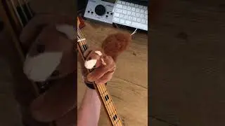 #basssquirrel plays Low Rider by War, original bassline by B.B. Dickerson