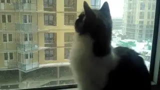 Первый снег.