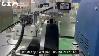 10ML VAPE Tax Stamp Labeling Machine | Label on Carton