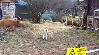 100 0209