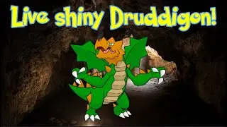 LIVE! Shiny Druddigon in White 2!
