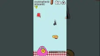 video curto mas divertido