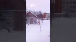 В бане