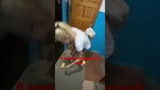 ❗️ Fake situation ❗️Прикол с пауком)😂#прикол #девушка #испуг