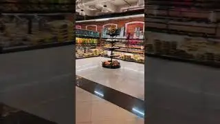 Придумай имя для самки агамы! 