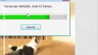 how to convert videos to gif image