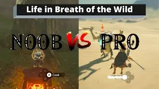 Life of a Noob Vs. Pro | Breath of the Wild