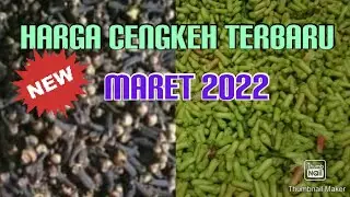 harga cengkeh kering terbaru