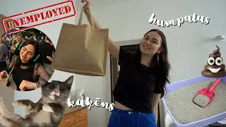 aizgāju no darba un cīnos ar kaķa caureju...